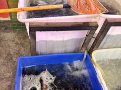 -金海椒罐罐鲢鱼(东方桂苑店)