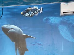 -小海豚•老字号海鲜餐厅(天涯店)