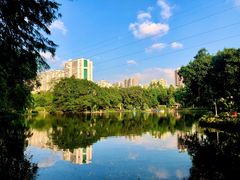 -晓港公园