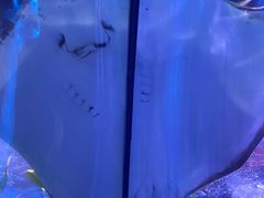 -重庆欢乐海底世界