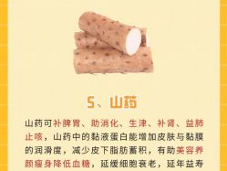 -Fundi张玉珊修身堂·indiba·BTL科技瘦身