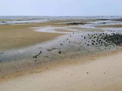 -北海金海湾红树林生态旅游区