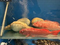 -百富源·海鲜辽菜(浑河堡店)