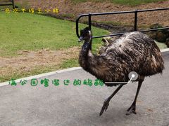 -可伦宾野生动物保护区