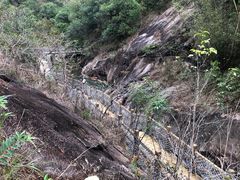 -广州白江湖森林公园