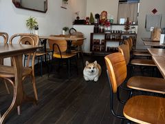 -肥朵食堂(带梦胡同店)