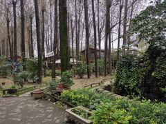 -林间山庄