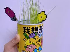 -野鸽子咖啡(中航店)