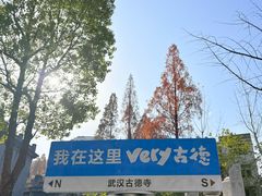 -武汉长江大桥