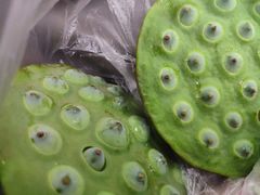 -闸弄口(地铁站)