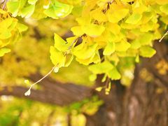 -北京石刻艺术博物馆(五塔寺)