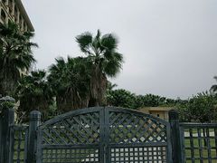 -厦门帝元维多利亚大酒店(环岛路黄厝海滩店)