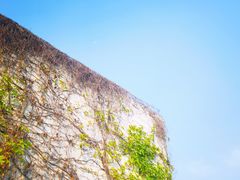 -villaa·别墅·融合菜西餐厅