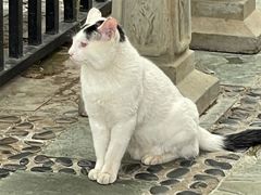 -尼玛藏家风味园(阿山食城店)