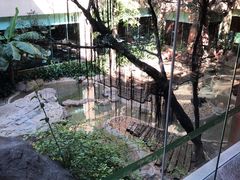 -麒麟中餐厅·经典粤菜·地道菜式老字号(广州长隆酒店)