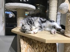 -小时光咖啡馆(开森度假森林店)