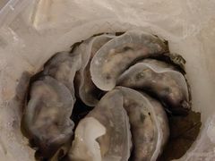 荷叶木耳鲜肉饺-蒙记老牌豆浆