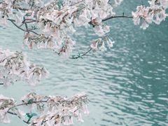 -成都市活水公园