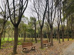 -嘉北郊野公园