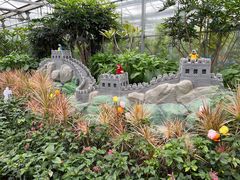 -南宫五洲植物乐园