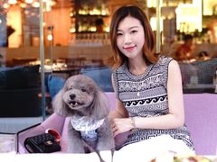 -the rug 飞毯 (朝阳公园店)