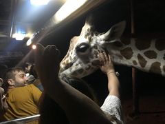 -清迈夜间动物园