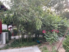 -有喜胶东小馆(太申祥和店)