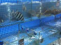 -阿军排档·烧烤