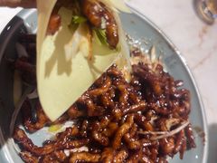 -小吊梨汤·北京菜·烤鸭(鸟巢店)