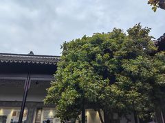 -孙盛兴奥灶面馆·蟹黄面·三虾面(山塘街总店)