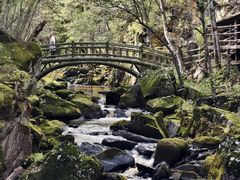 -茅兰沟国家森林公园