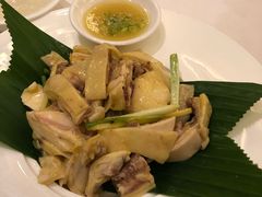 -金汇酒楼(中山东区店)