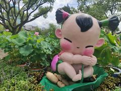 -无锡蠡湖国家湿地公园-蠡园