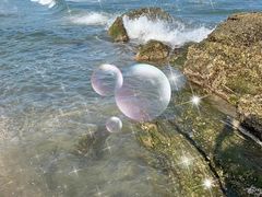 -玫瑰海岸文化旅游度假区