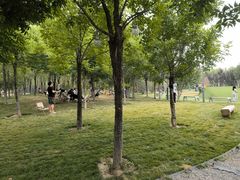 -爪吧宠物乐园 (温榆河示范区店)