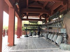 -武汉园博园(武汉自然博物馆)