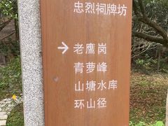-滴水岩森林公园
