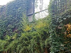 -溪畔•新徽菜(碧湖云溪店)