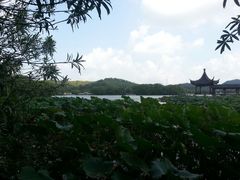 -天下玉苑