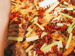 -老板恋上鱼(印象城店)