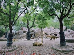-上海野生动物园