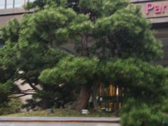 -上海宝华万豪酒店