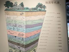 -四川大学博物馆