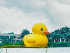 -深圳人才公园