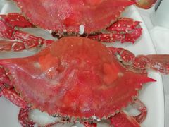 -金海湾海鲜排档(朱家尖店)