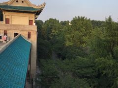 -武汉大学-樱园