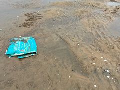 -刘家湾赶海园