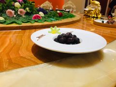 -苏州吴中白金汉爵大酒店