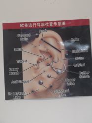-AI艾耳·专业手工耳洞·穿孔美学馆