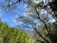 -水墨汀溪风景区